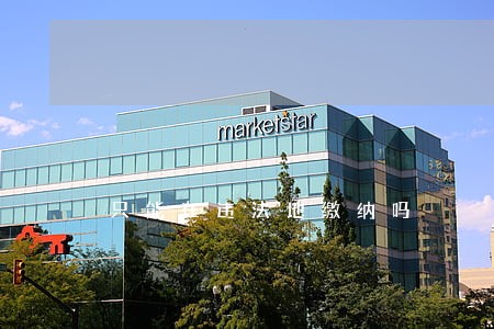 只能在违法地缴纳吗 只能在违法地缴纳吗