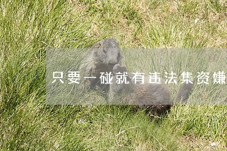 只要一碰就有违法集资嫌疑 只要一碰就有违法集资嫌疑