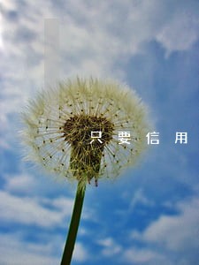只要信用卡逾期征信就会受影响吗 只要信用卡逾期征信就会受影响吗