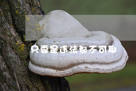 只要是违法都不可取 只要是违法都不可取