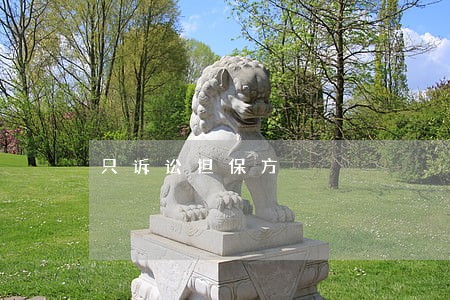 只诉讼担保方 只诉讼担保方