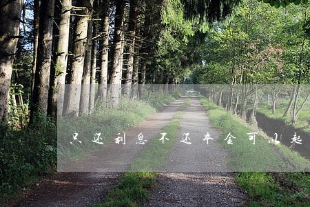 只还利息不还本金可以起诉吗 只还利息不还本金可以起诉吗