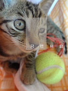 只还利息不还本金银行 只还利息不还本金银行