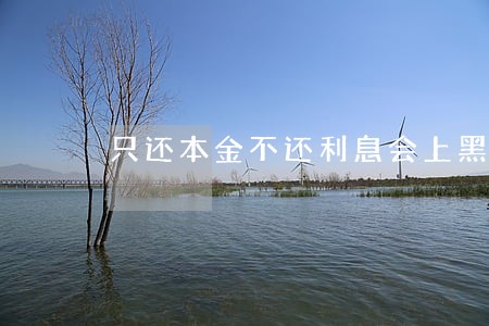 只还本金不还利息会上黑名单么 只还本金不还利息会上黑名单么