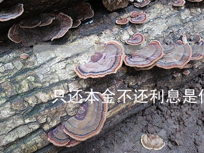 只还本金不还利息是什么意思 只还本金不还利息是什么意思