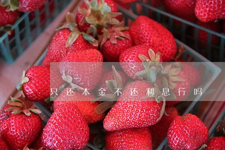 只还本金不还利息行吗 只还本金不还利息行吗