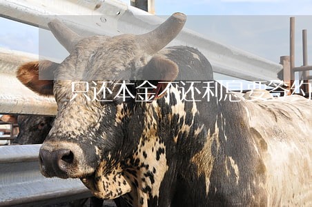 只还本金不还利息要签约吗 只还本金不还利息要签约吗