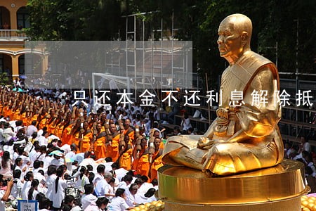 只还本金不还利息解除抵押 只还本金不还利息解除抵押