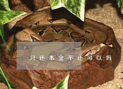 只还本金不还可以吗