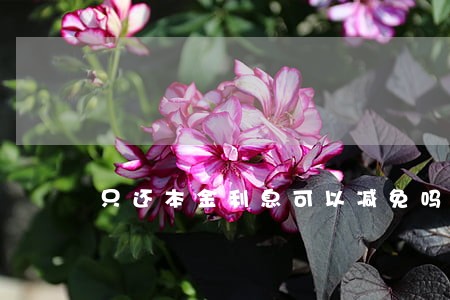 只还本金利息可以减免吗 只还本金利息可以减免吗