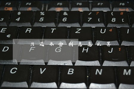 只还本金利息怎么算
