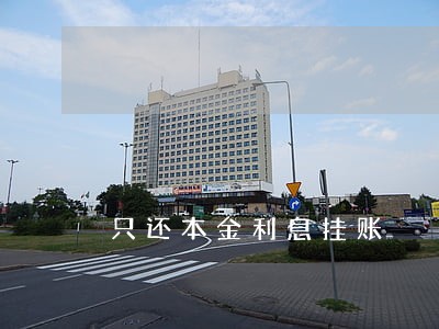 只还本金利息挂账