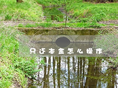 只还本金怎么操作 只还本金怎么操作