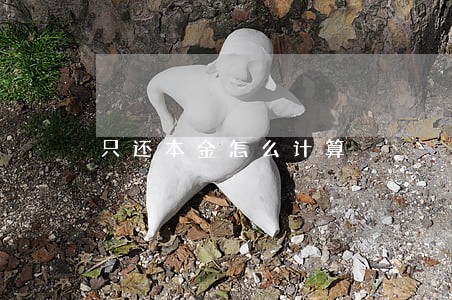 只还本金怎么计算 只还本金怎么计算