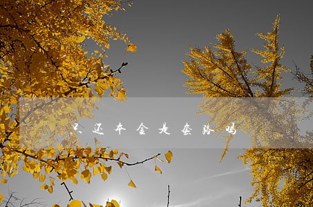 只还本金是套路吗 只还本金是套路吗