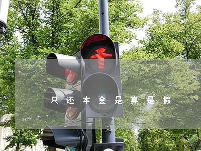 只还本金是真是假 只还本金是真是假