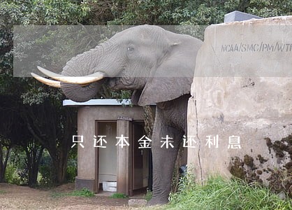 只还本金未还利息 只还本金未还利息