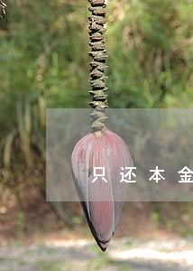 只还本金未还利息怎么算 只还本金未还利息怎么算