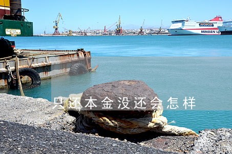 只还本金没还会怎样 只还本金没还会怎样