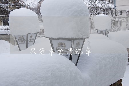 只还本金清讫章