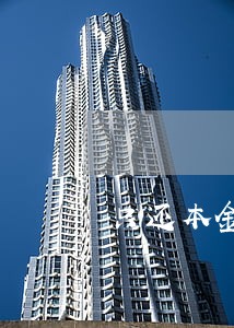 只还本金的政策 只还本金的政策