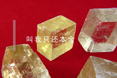 叫我只还本金 叫我只还本金