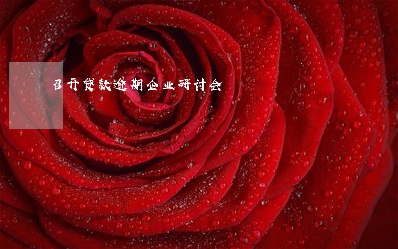 召开贷款逾期企业研讨会 召开贷款逾期企业研讨会