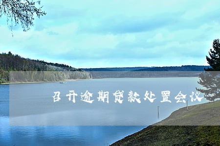 召开逾期贷款处置会议 召开逾期贷款处置会议