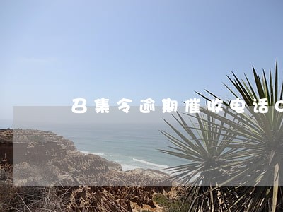召集令逾期催收电话055 召集令逾期催收电话055