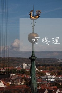 叮咚理财逾期了 叮咚理财逾期了