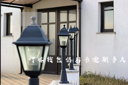 叮咚钱包信用卡逾期多久上征信 叮咚钱包信用卡逾期多久上征信