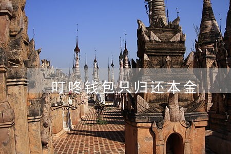 叮咚钱包只归还本金