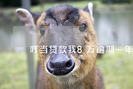 叮当贷款我8万逾期一年 叮当贷款我8万逾期一年