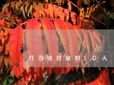 叮当钱包逾期10天 叮当钱包逾期10天