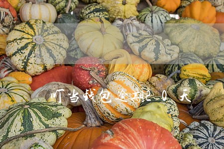 叮当钱包逾期20天 叮当钱包逾期20天