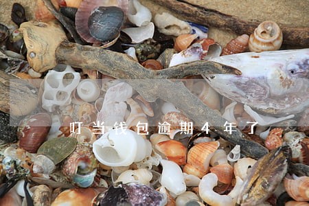 叮当钱包逾期4年了 叮当钱包逾期4年了