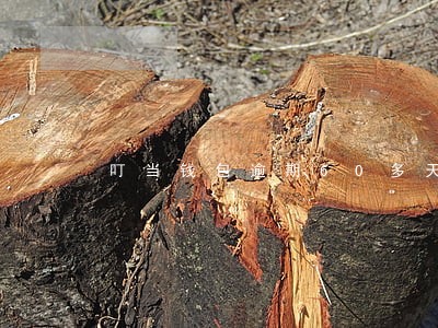 叮当钱包逾期60多天 叮当钱包逾期60多天