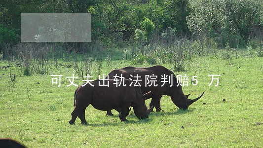 可丈夫出轨法院判赔5万 可丈夫出轨法院判赔5万