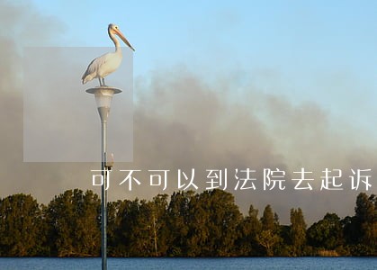 可不可以到法院去起诉他们侵权 可不可以到法院去起诉他们侵权