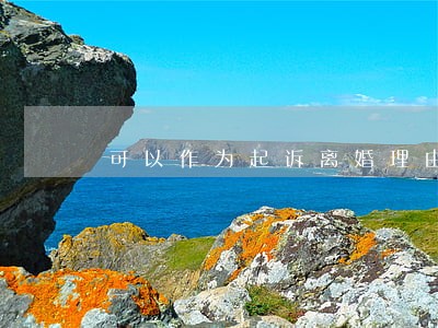 可以作为起诉离婚理由也可以 可以作为起诉离婚理由也可以
