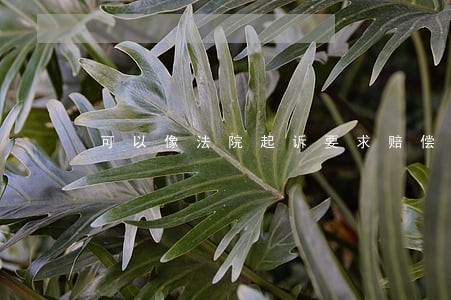 可以像法院起诉要求赔偿吗 可以像法院起诉要求赔偿吗