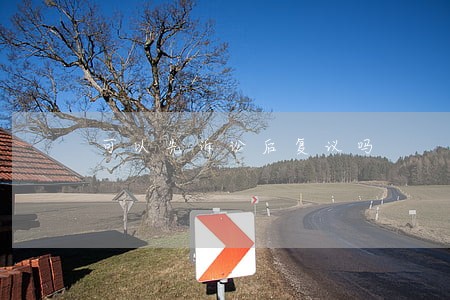 可以先诉讼后复议吗 可以先诉讼后复议吗