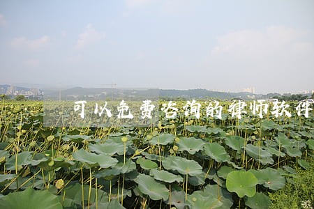 可以免费咨询的律师软件