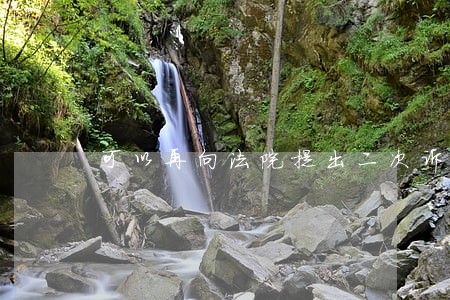 可以再向法院提出二次诉讼吗