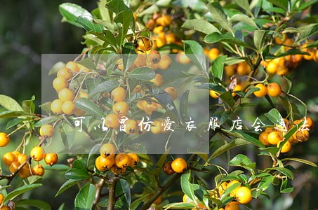 可以冒仿爱衣服店会违法吗