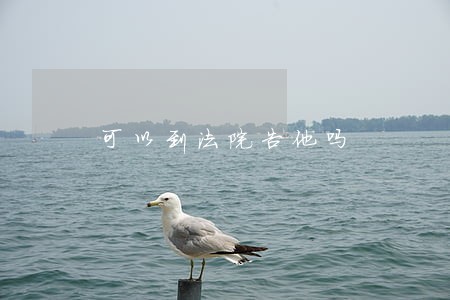 可以到法院告他吗 可以到法院告他吗