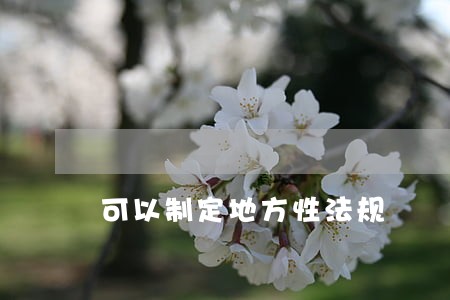 可以制定地方性法规 可以制定地方性法规