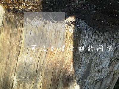 可以办理逾期的网贷 可以办理逾期的网贷