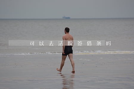 可以去法院签借条吗 可以去法院签借条吗
