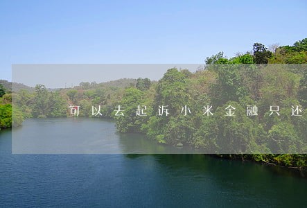 可以去起诉小米金融只还本金吗 可以去起诉小米金融只还本金吗